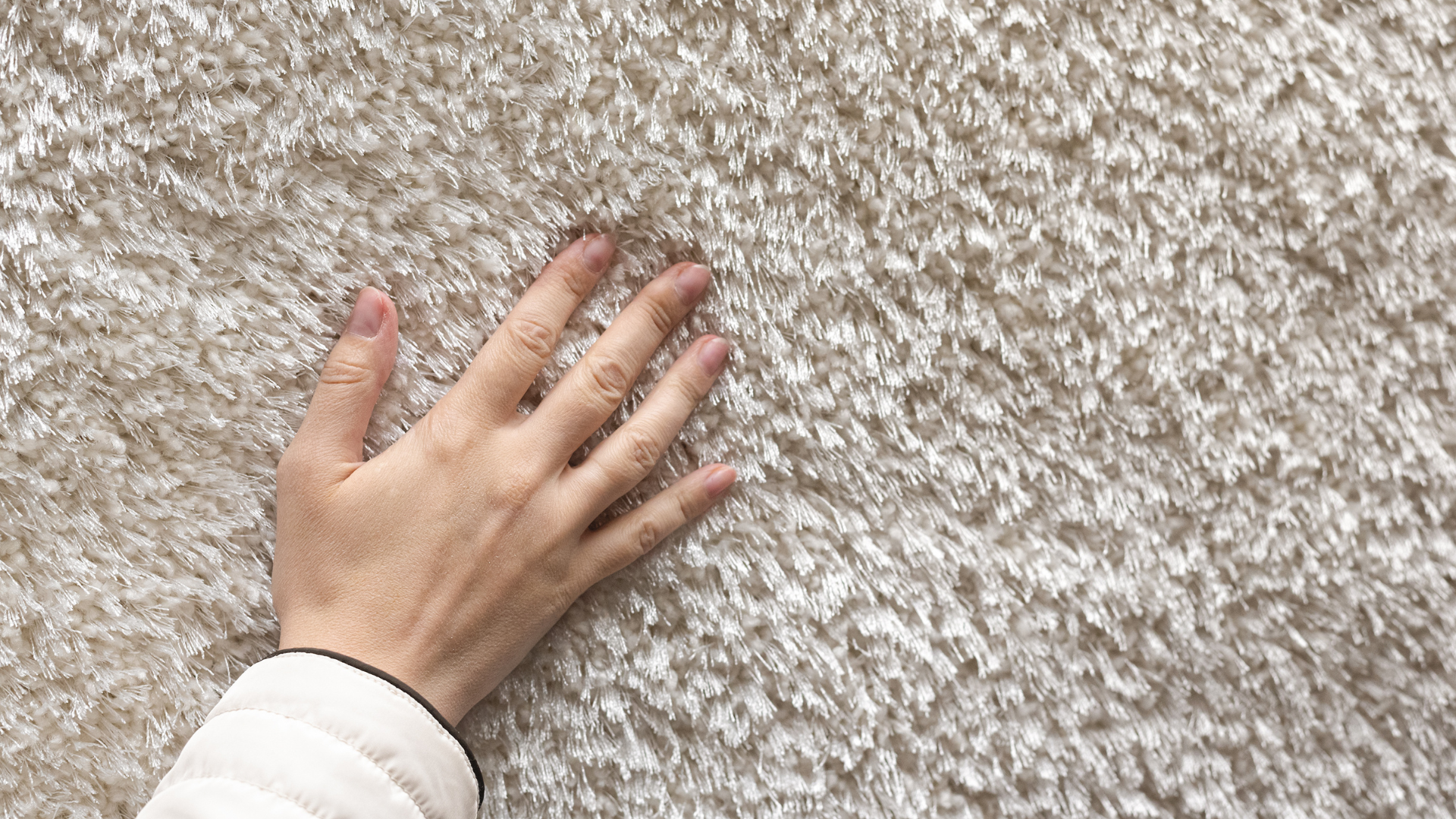 new carpet that replaced old carpet after water damage